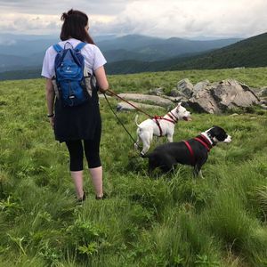 Meet your Posher, Rachel